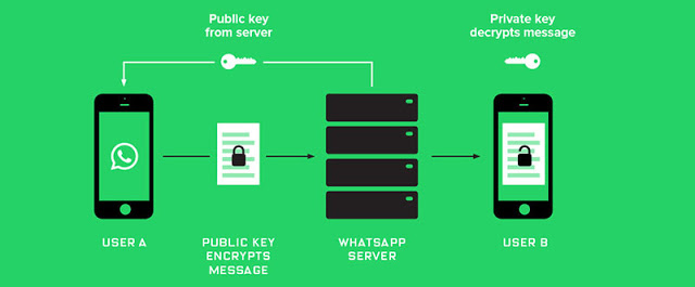 WhatsApp criptografia